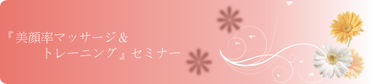 w痦}bT[Wg[jOxZ~i[ biganritsu seminar