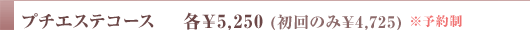 v`GXeR[X@e\5,250 (̂\4,725) \