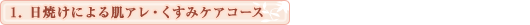 1. Ăɂ锧AE݃PAR[X