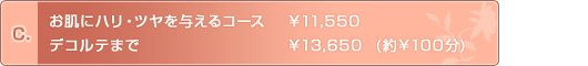 C.
ɃnEc^R[X@@\11,550
fRe܂Ł@@\13,650  (\100)