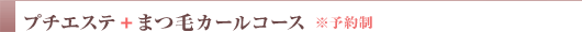 v`GXe+܂уJ[R[X \