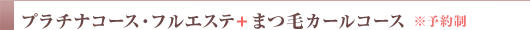 v`iR[XEtGXe+܂уJ[R[X \