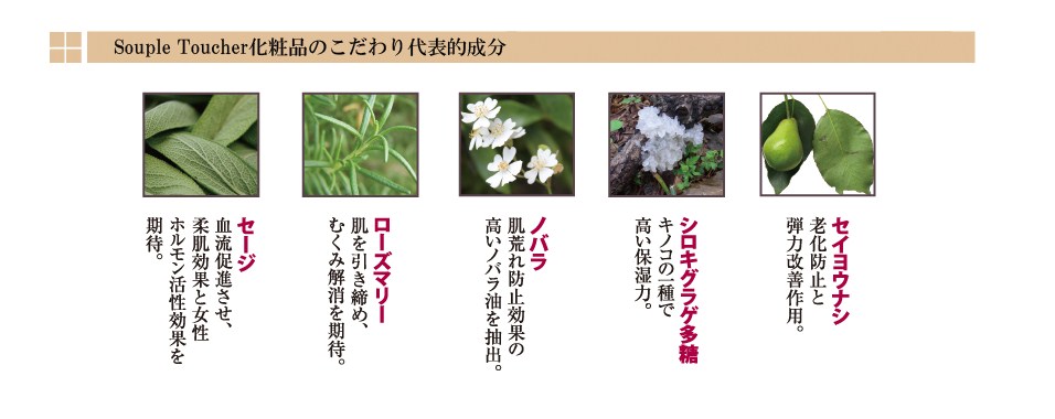 スープル 成分